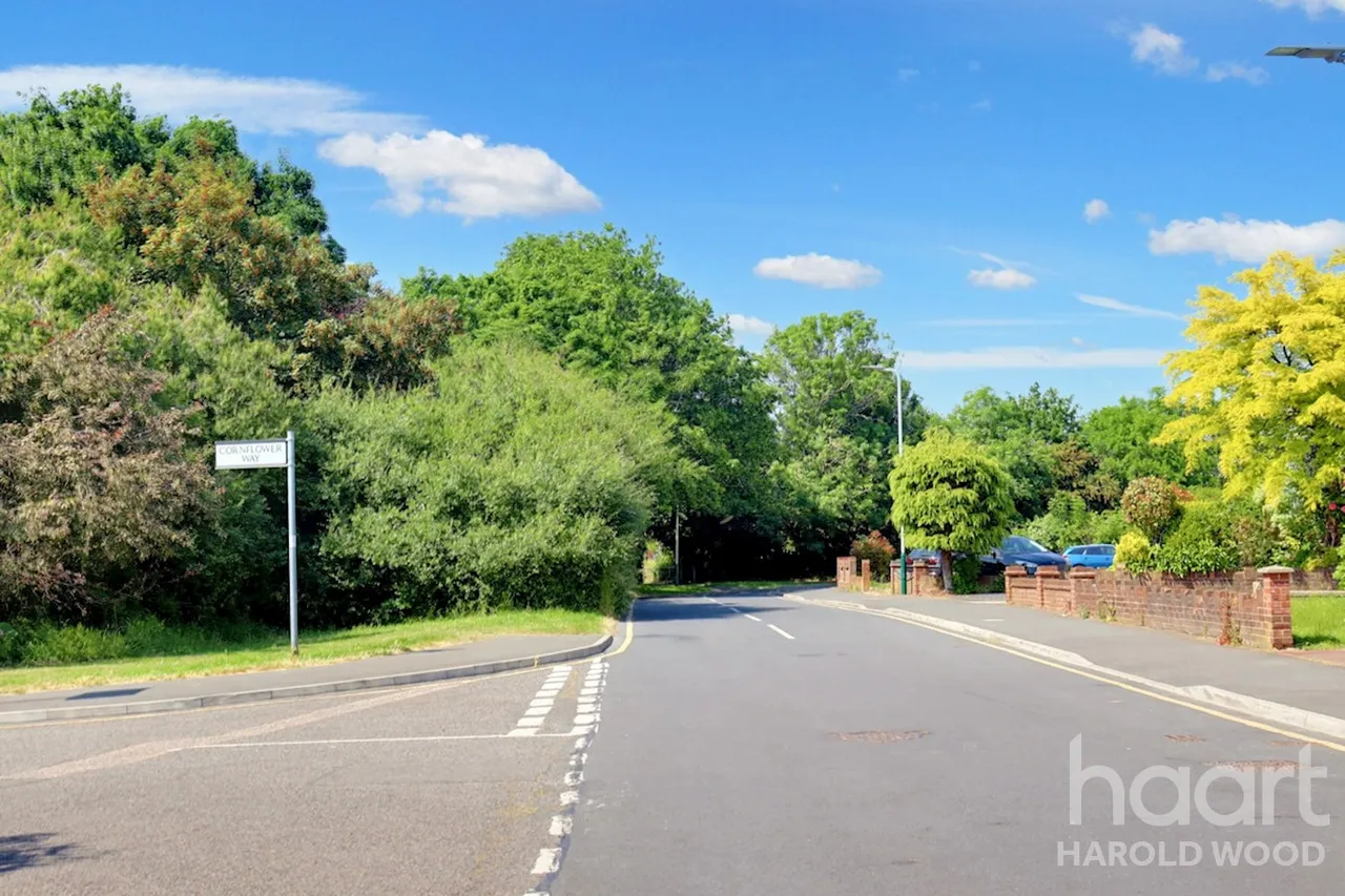 Sackville Crescent, Harold Wood, RM3, photo 41