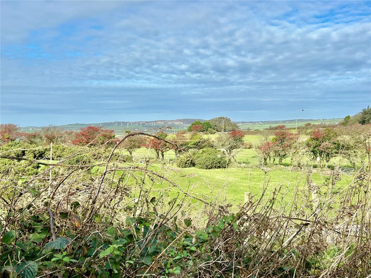 Mynydd Bodafon, Llannerch-y-Medd, LL71, photo 14