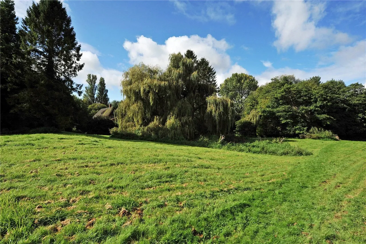 Woodborough, Pewsey, Wiltshire, SN9 5PL, photo 8