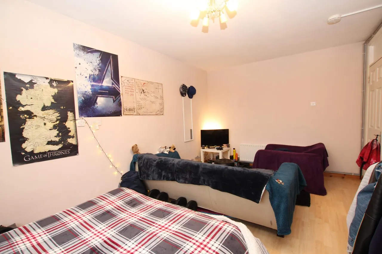 Room In Flat, TW11, photo 4
