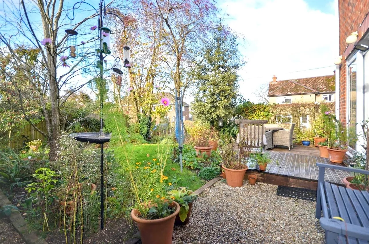 Bowey, Okeford Fitzpaine, photo 8