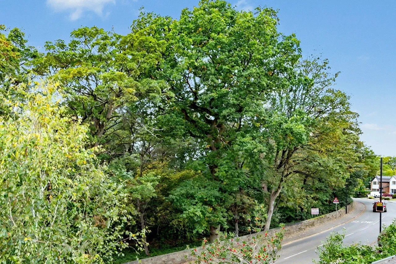 Hall Lane, Horsforth, LS18, photo 18