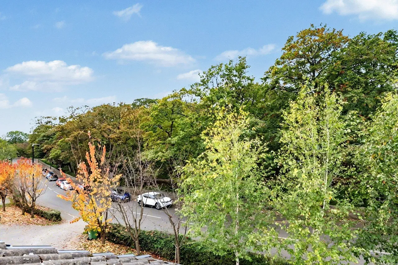 Hall Lane, Horsforth, LS18, photo 19