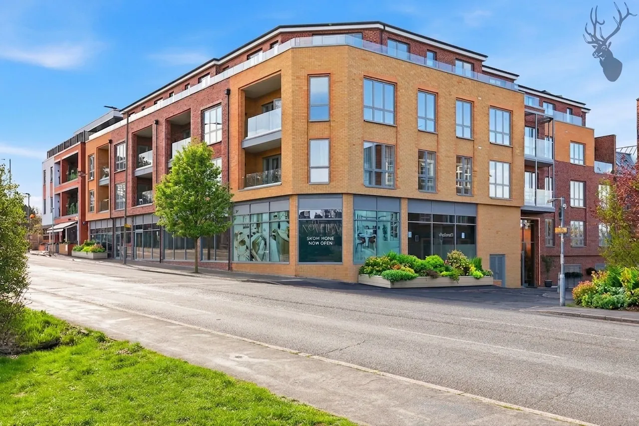High Road, Chigwell, IG7, photo 19