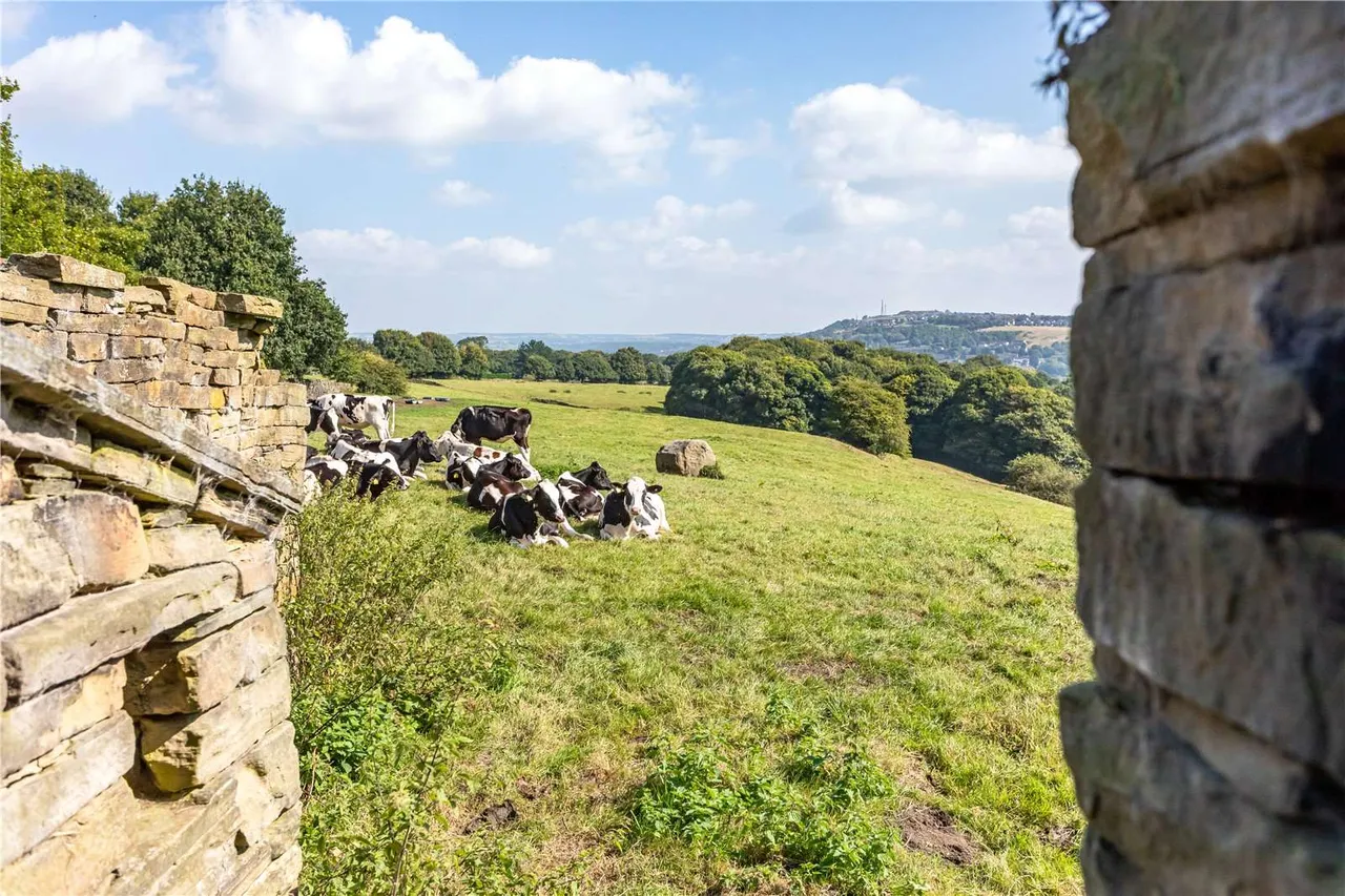 Heaton Royds Estate, Shay Lane, Bradford, West Yorkshire, BD9 6SH, photo 9