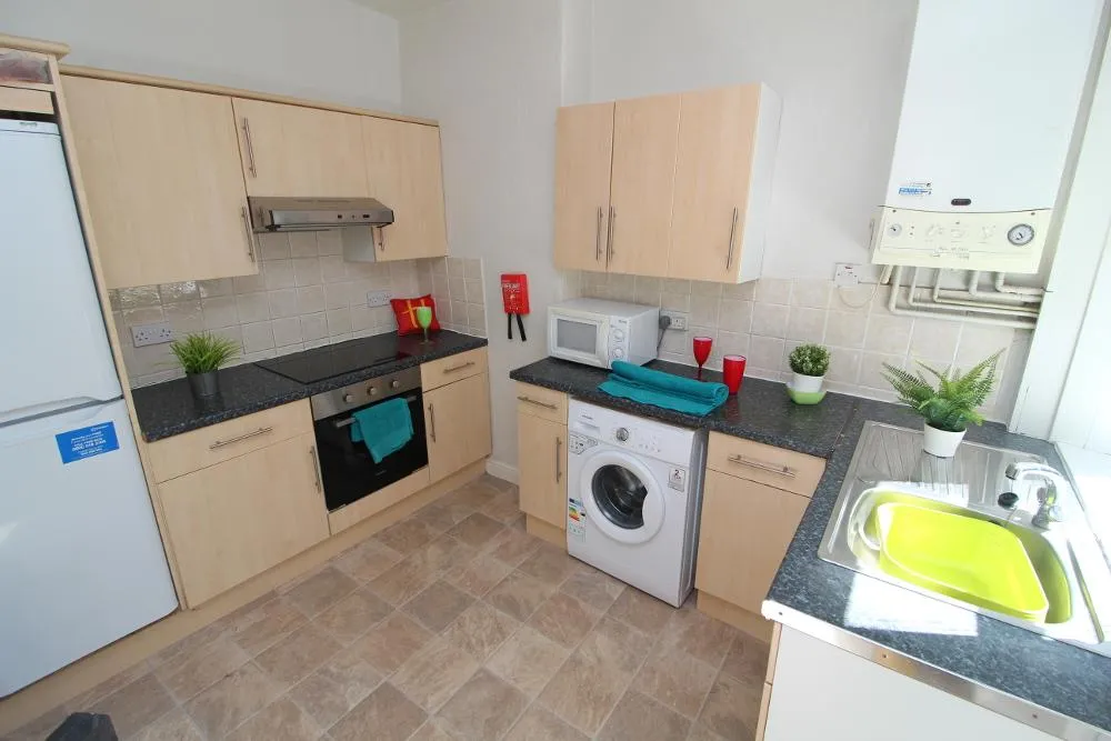 Brighton Terrace Road, Sheffield, S10, photo 3