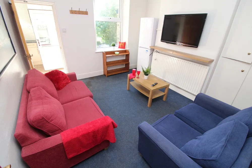 Brighton Terrace Road, Sheffield, S10, photo 2
