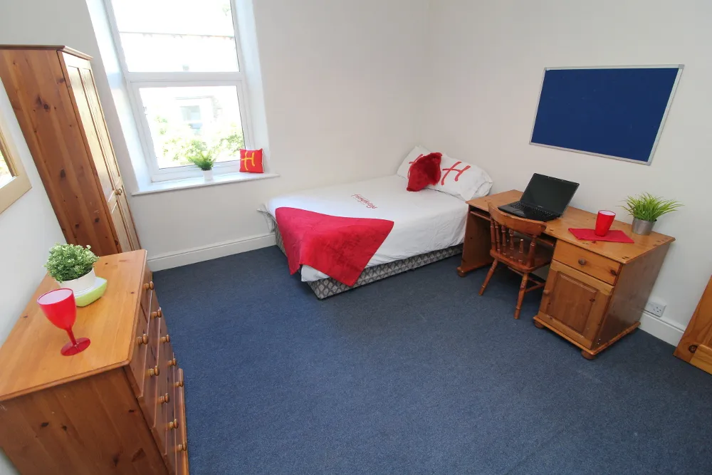Brighton Terrace Road, Sheffield, S10, photo 6