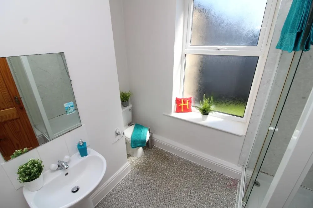 Brighton Terrace Road, Sheffield, S10, photo 5