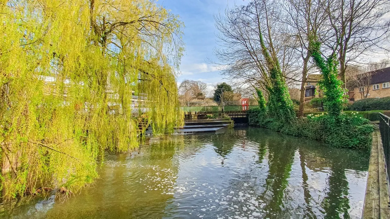 Millbridge Mews, Hertford, SG14, photo 7