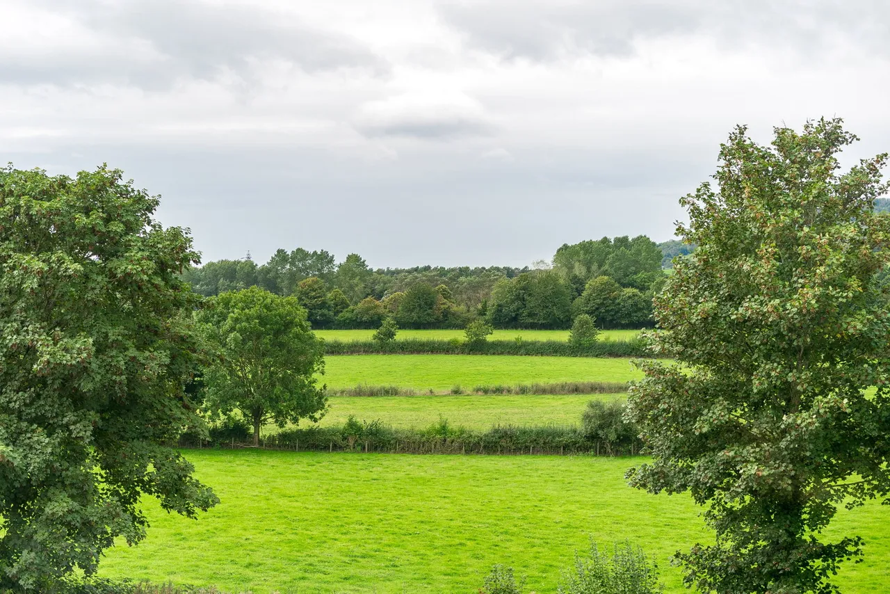 Borwick Court, Borwick, LA6, photo 46