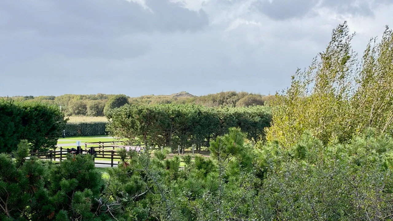 Cae Gwastad, Harlech, LL46, photo 17