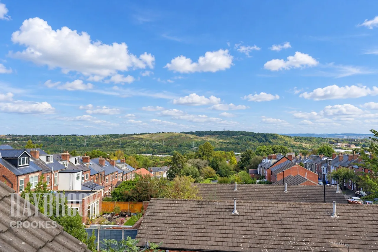 South Road, Walkley, photo 10