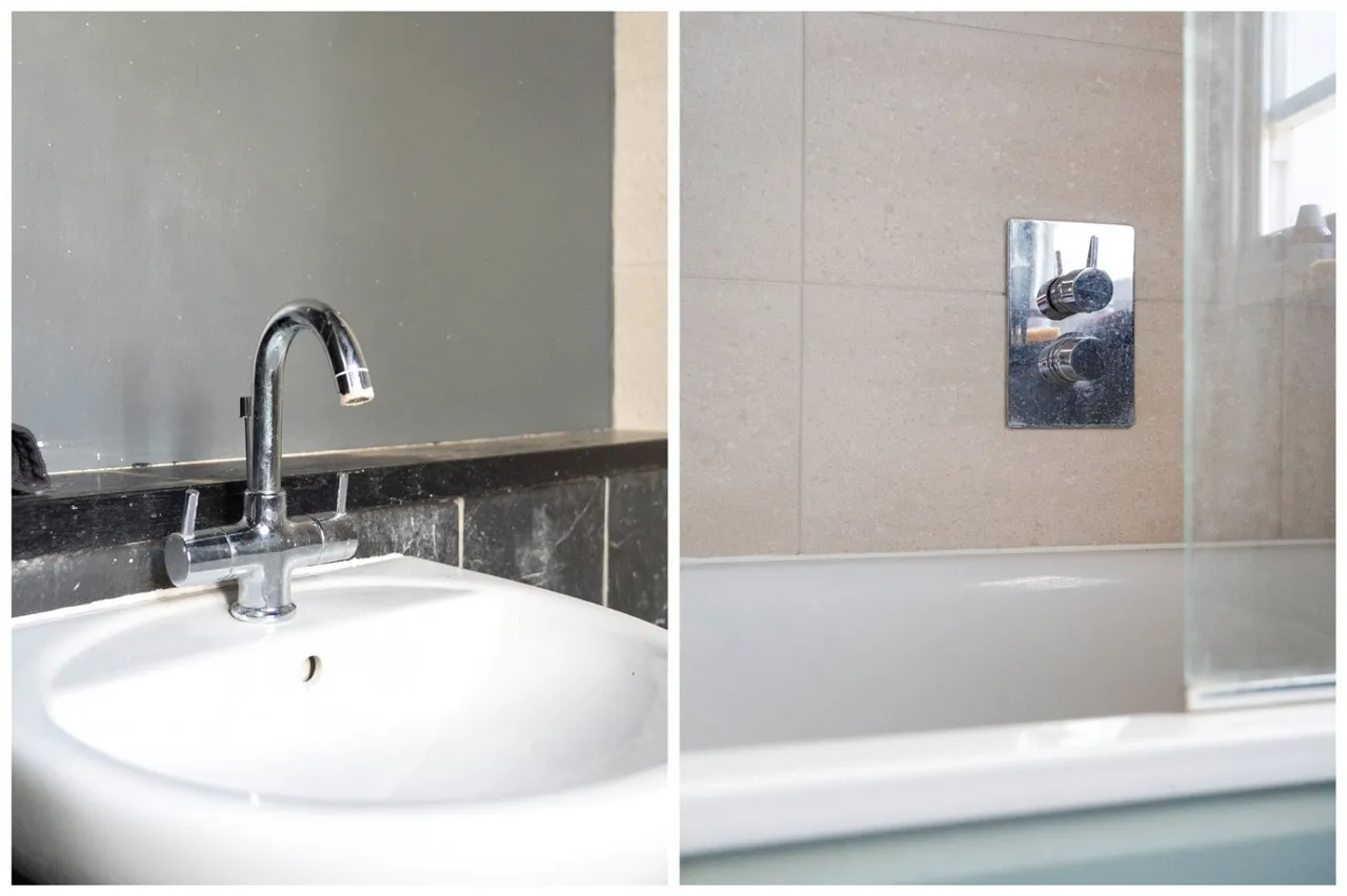 Mount Pleasant Road, London, N17, photo 15