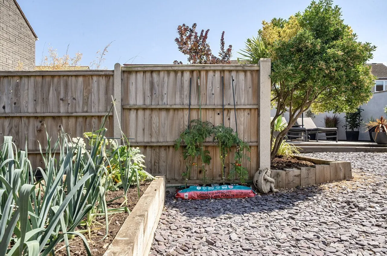 Holm Oaks, Butleigh, BA6, photo 27