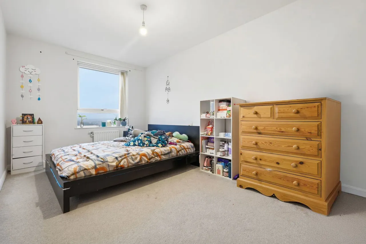 Cannon Road, London, N17 8FE, photo 13