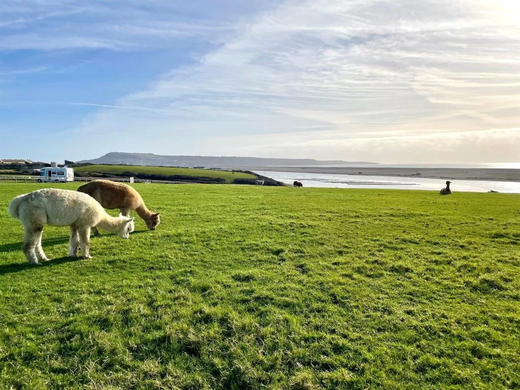 Chesil View, Weymouth, photo 12