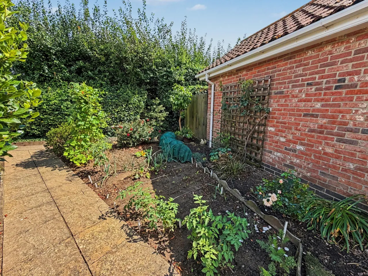 Walnut Tree Avenue, Martham, photo 22