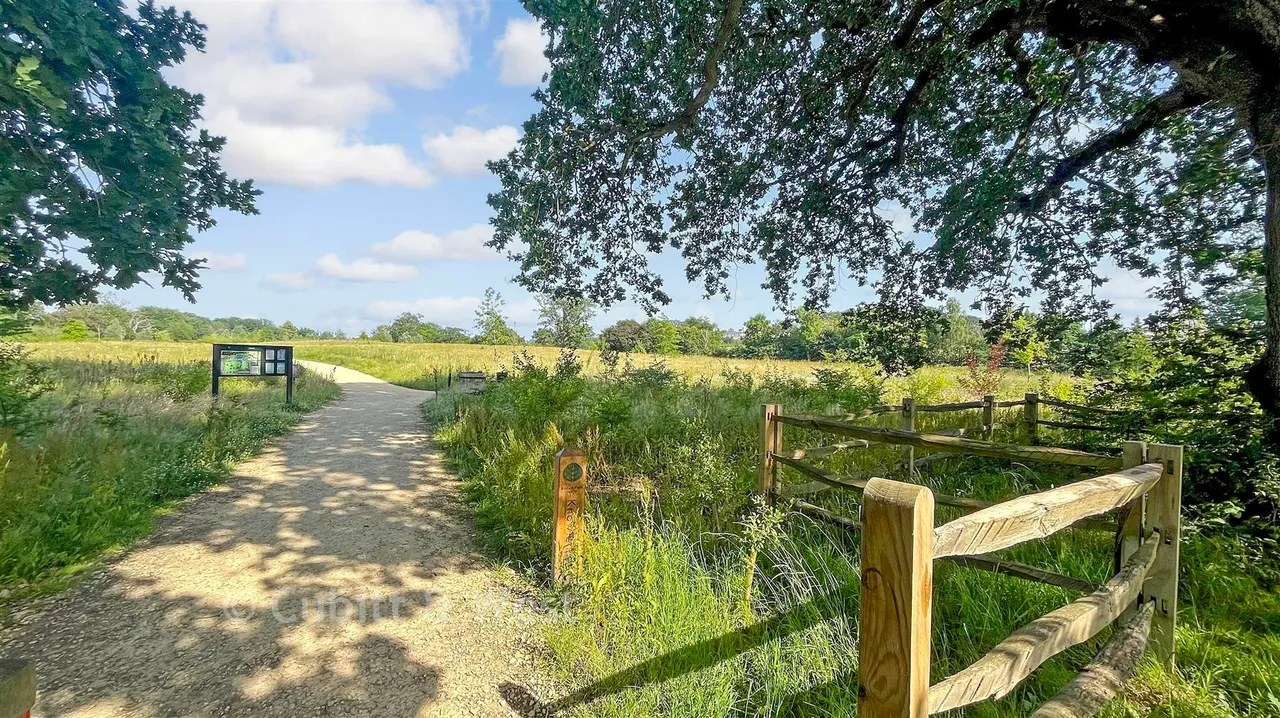 Taverner Square, Cranleigh, GU6, photo 15