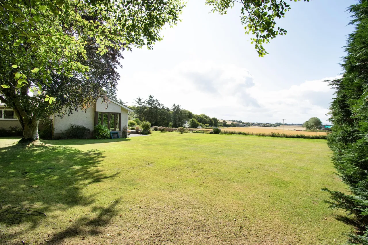 Tarriebank, Arbroath, DD11, photo 38