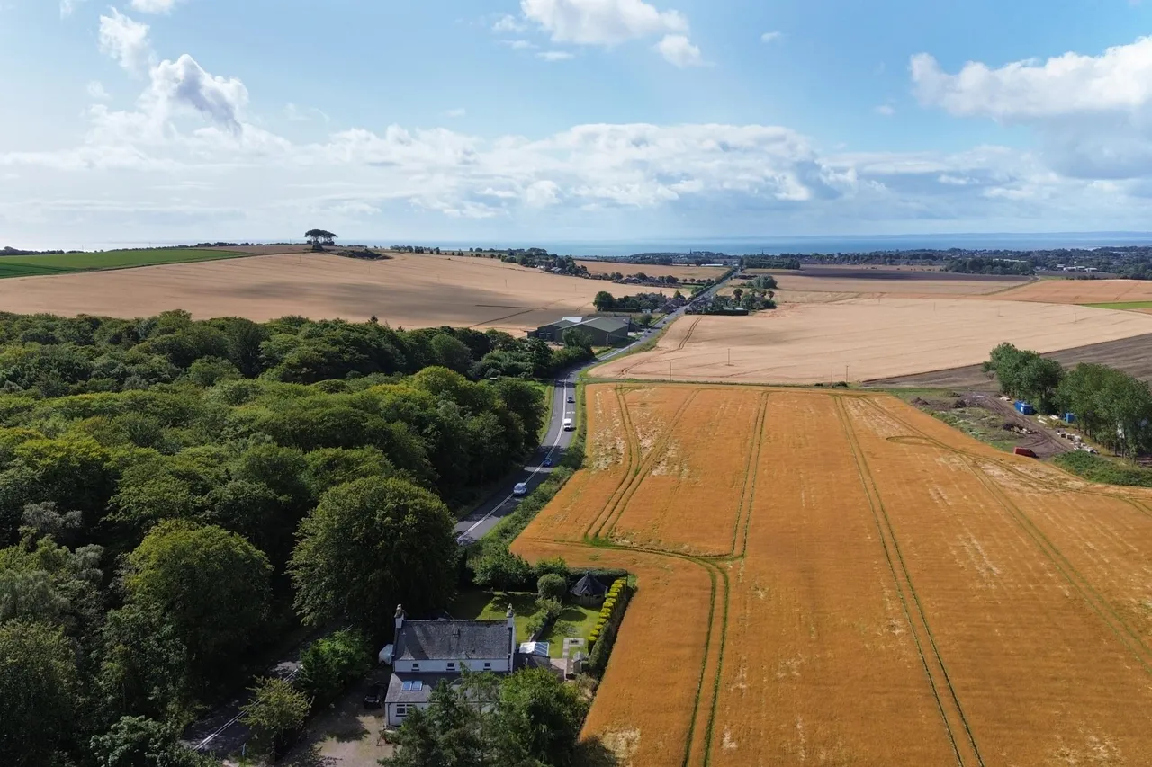 Tarriebank, Arbroath, DD11, photo 42