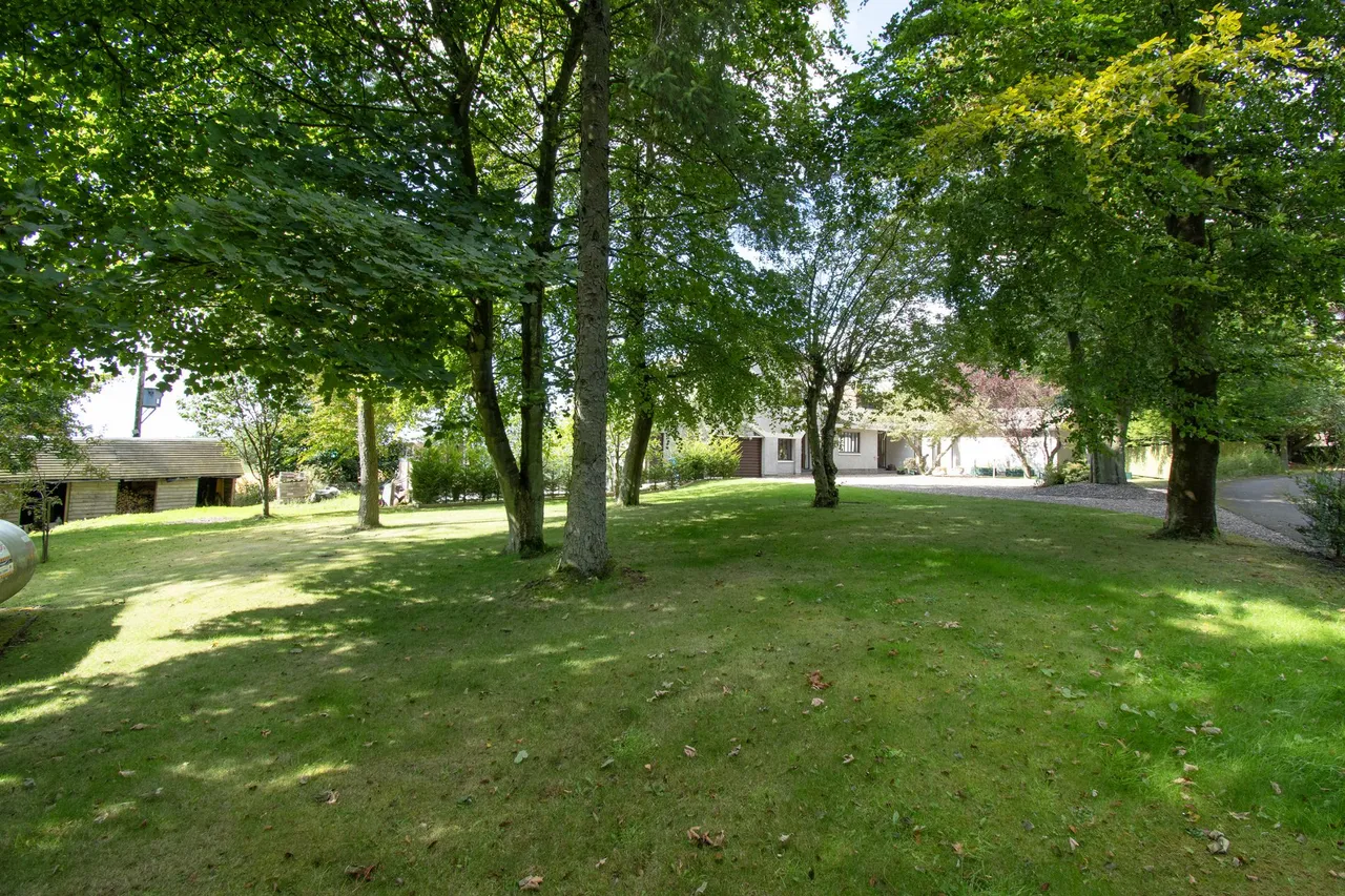 Tarriebank, Arbroath, DD11, photo 37