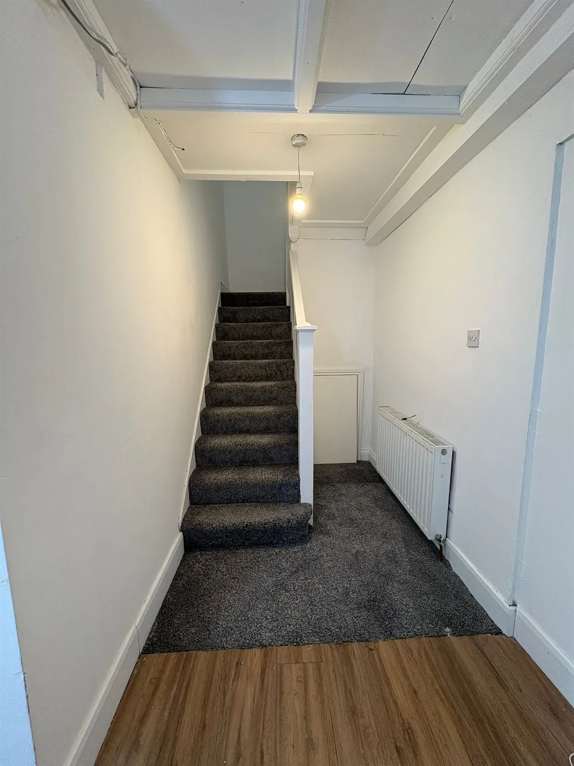 Mayne Avenue, Luton, LU4, photo 16