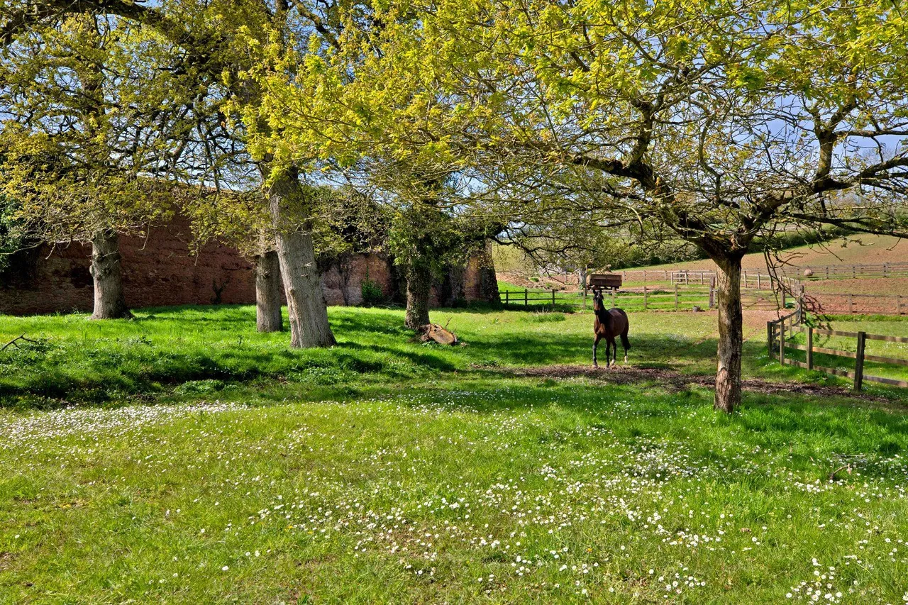 Shobrooke, Crediton, EX17, photo 24