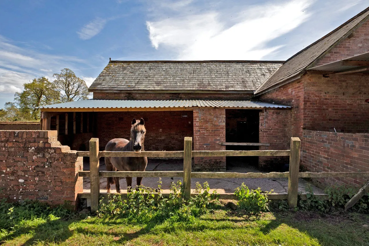 Shobrooke, Crediton, EX17, photo 23