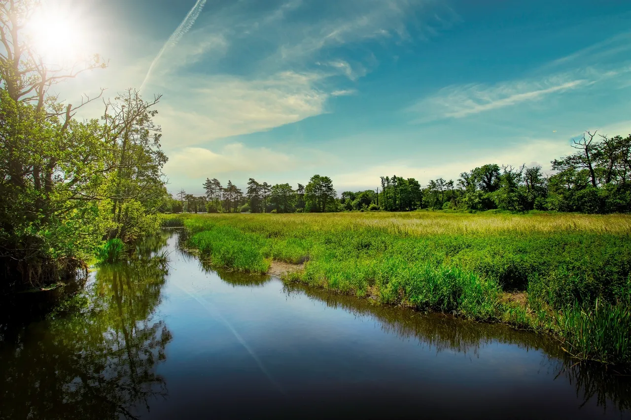 Mendham Lane, Harleston, photo 11