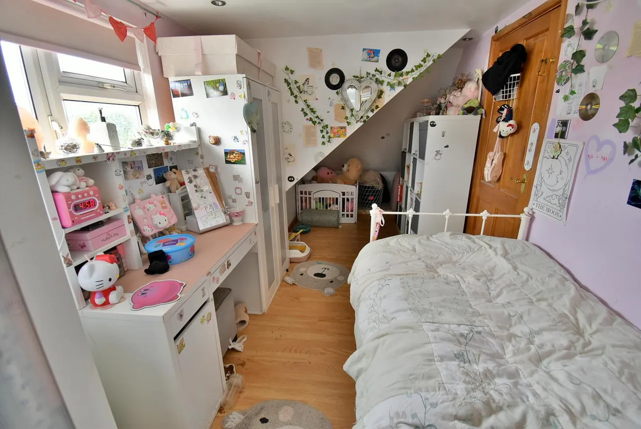Mayfield Drive, BH22, photo 13