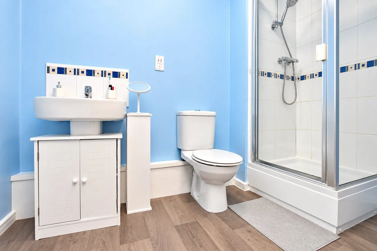 Sydney Barnes Close, Castleton, OL11, photo 6