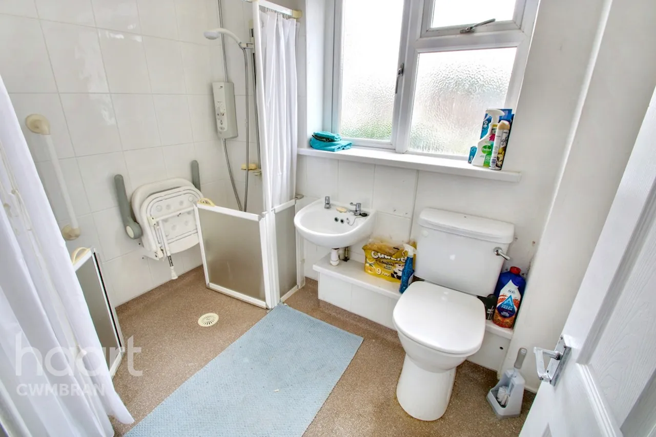 Coed Lees, Cwmbran, NP44, photo 26