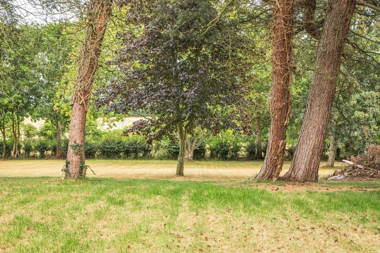 Trunch Road, Mundesley, NR11, photo 17