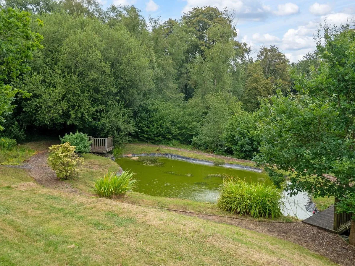 Bishops Lane, Shirrell Heath Southampton, photo 31