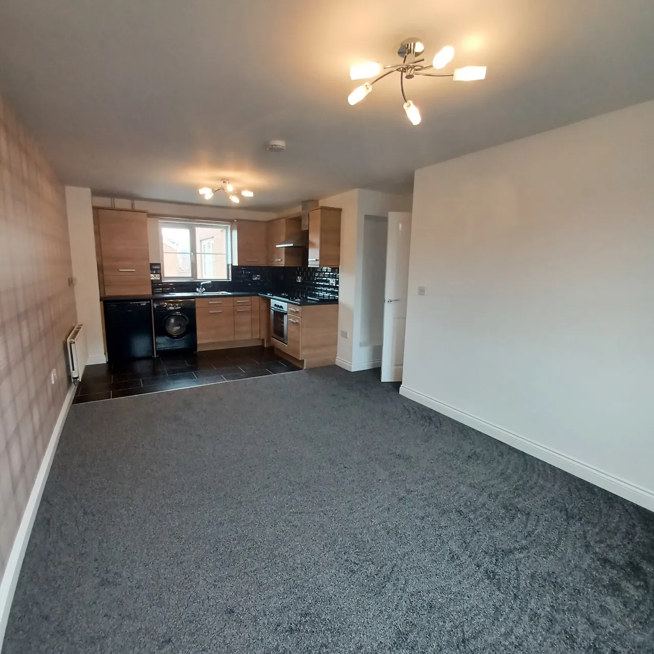 Silverbirch Road, Hartlepool, TS26, photo 8