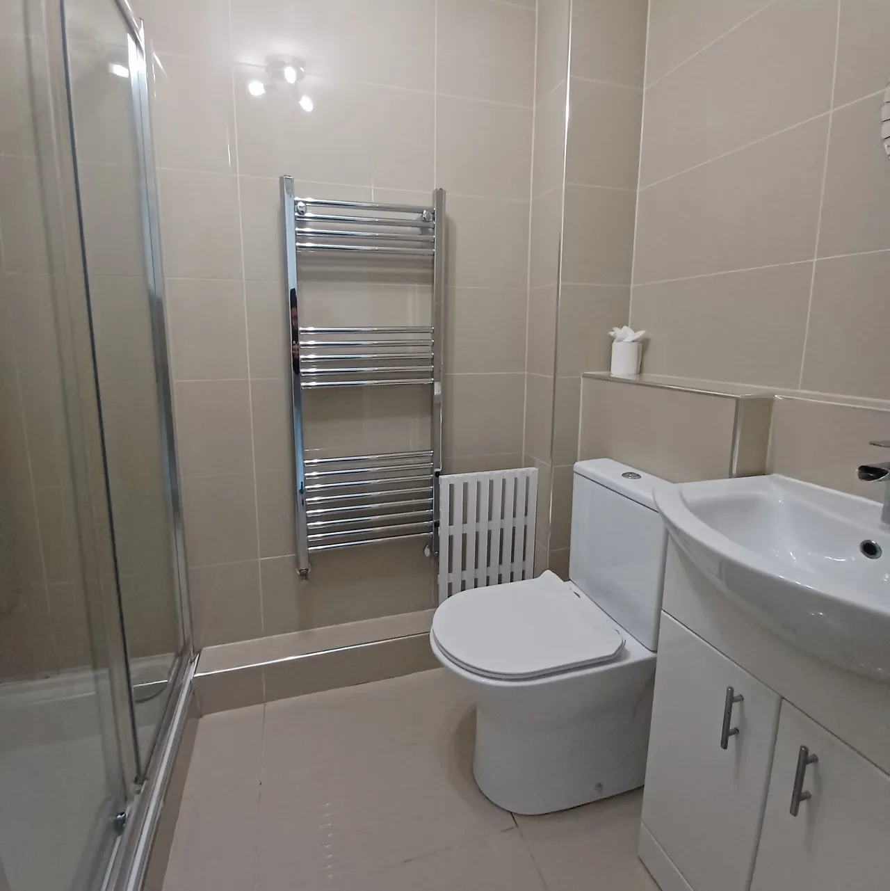 Silverbirch Road, Hartlepool, TS26, photo 6