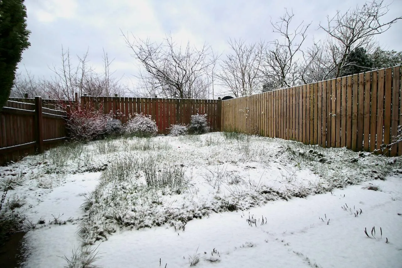Lilac Court, Cumbernauld, G67 3QB, photo 16