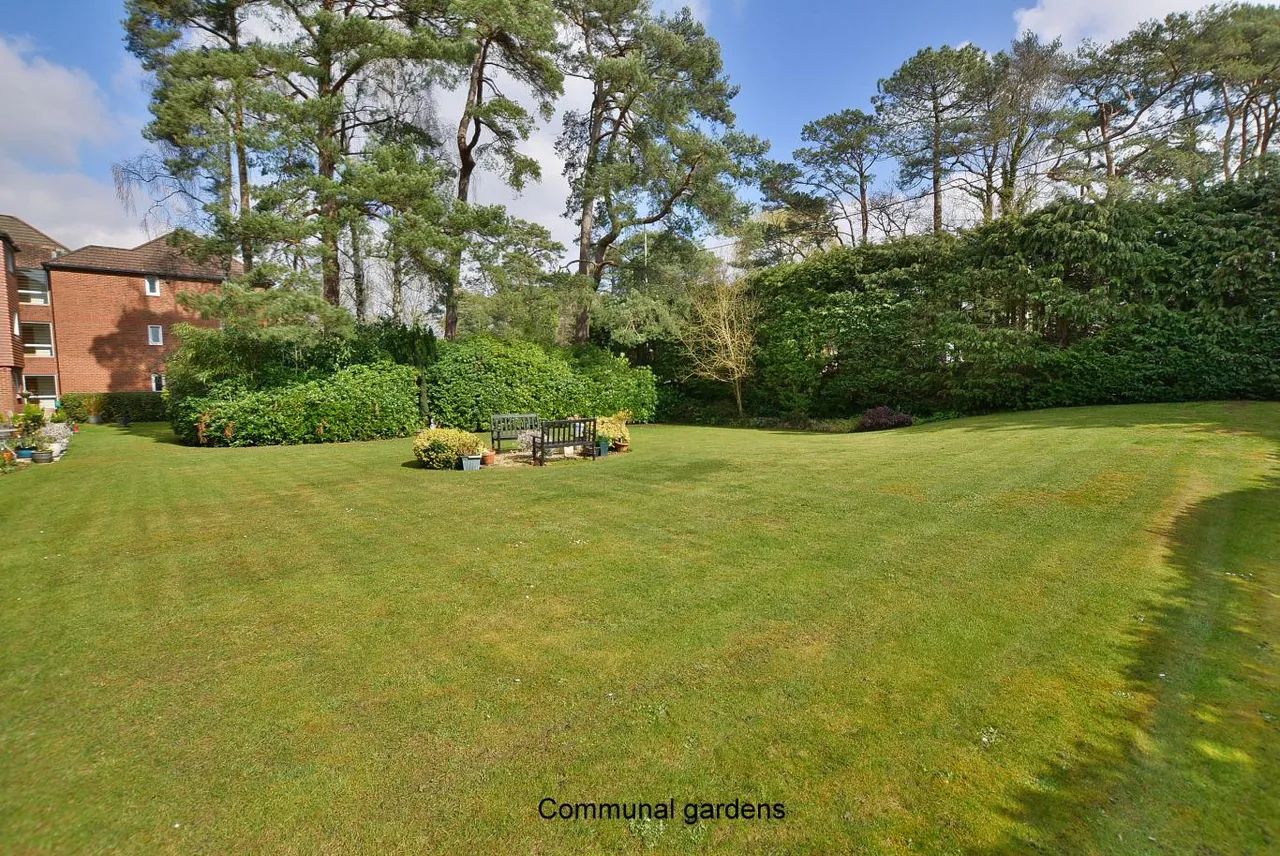 Alexandria Court, BH22, photo 16