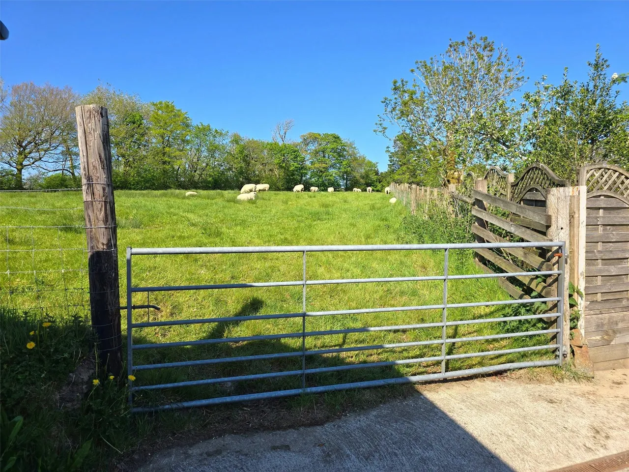 Chasty, Holsworthy, photo 39