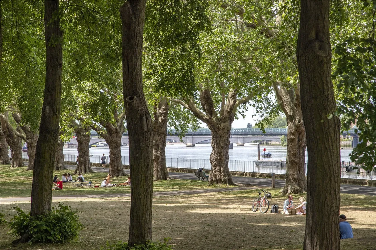 Point Pleasant, London, SW18, photo 10