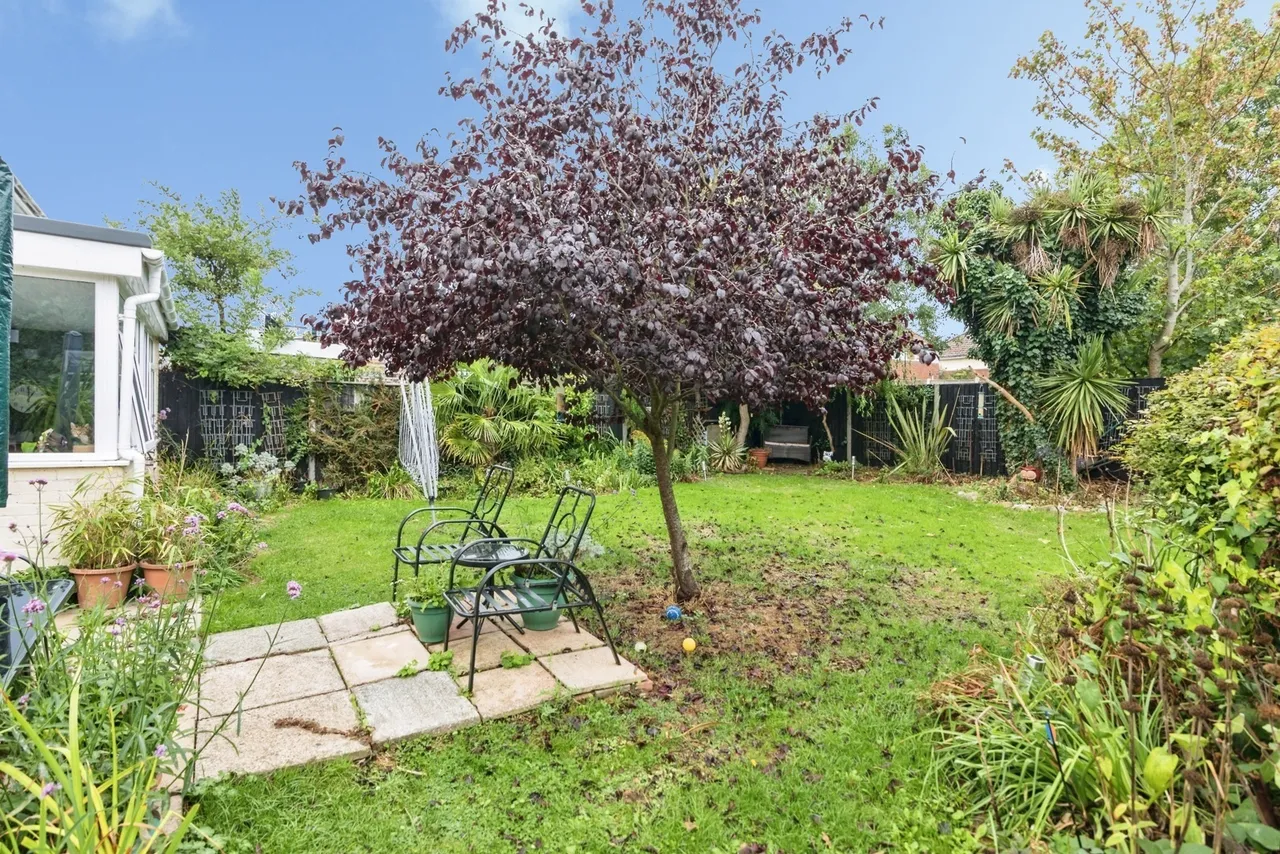 Old Station Road, Halesworth, Suffolk, IP19, photo 6