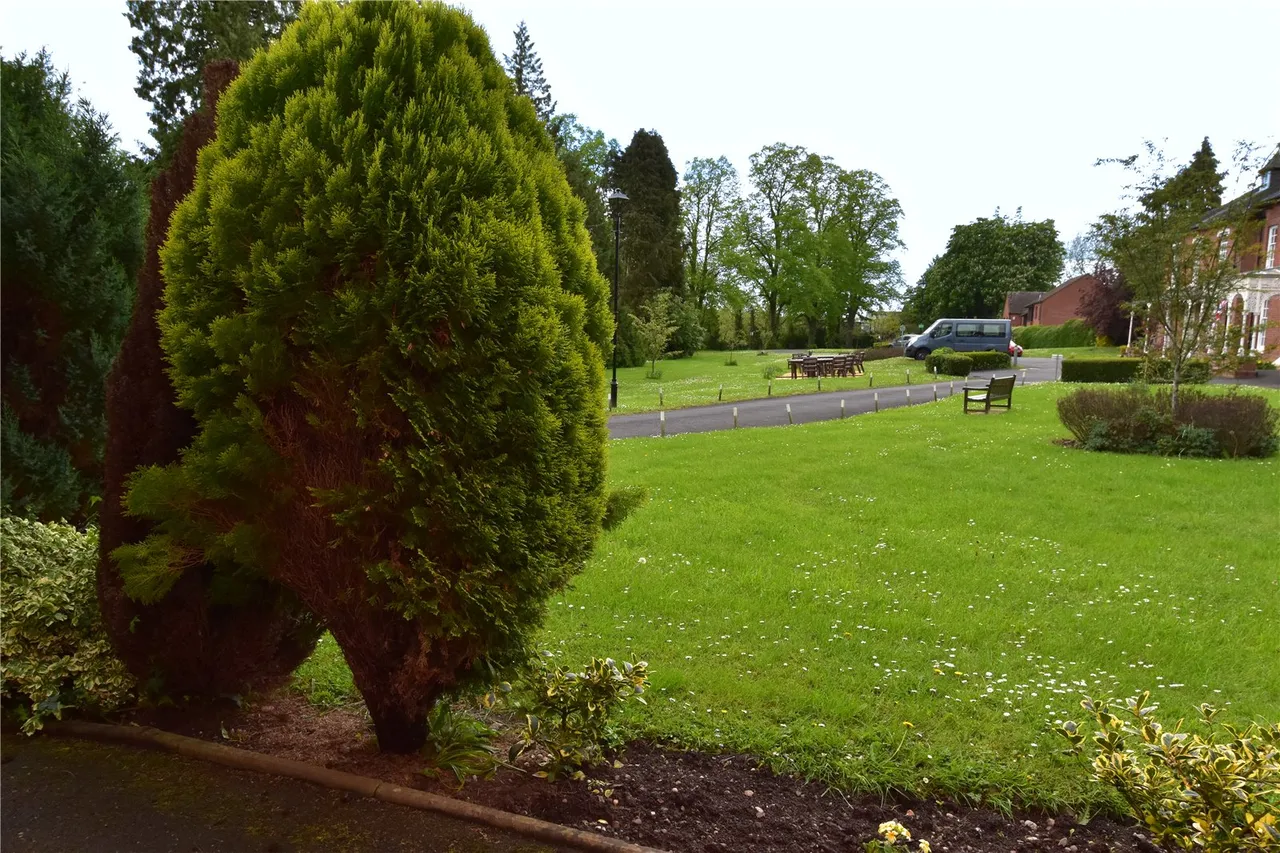 Worcester Road, Droitwich, Worcestershire, WR9 8AA, photo 8