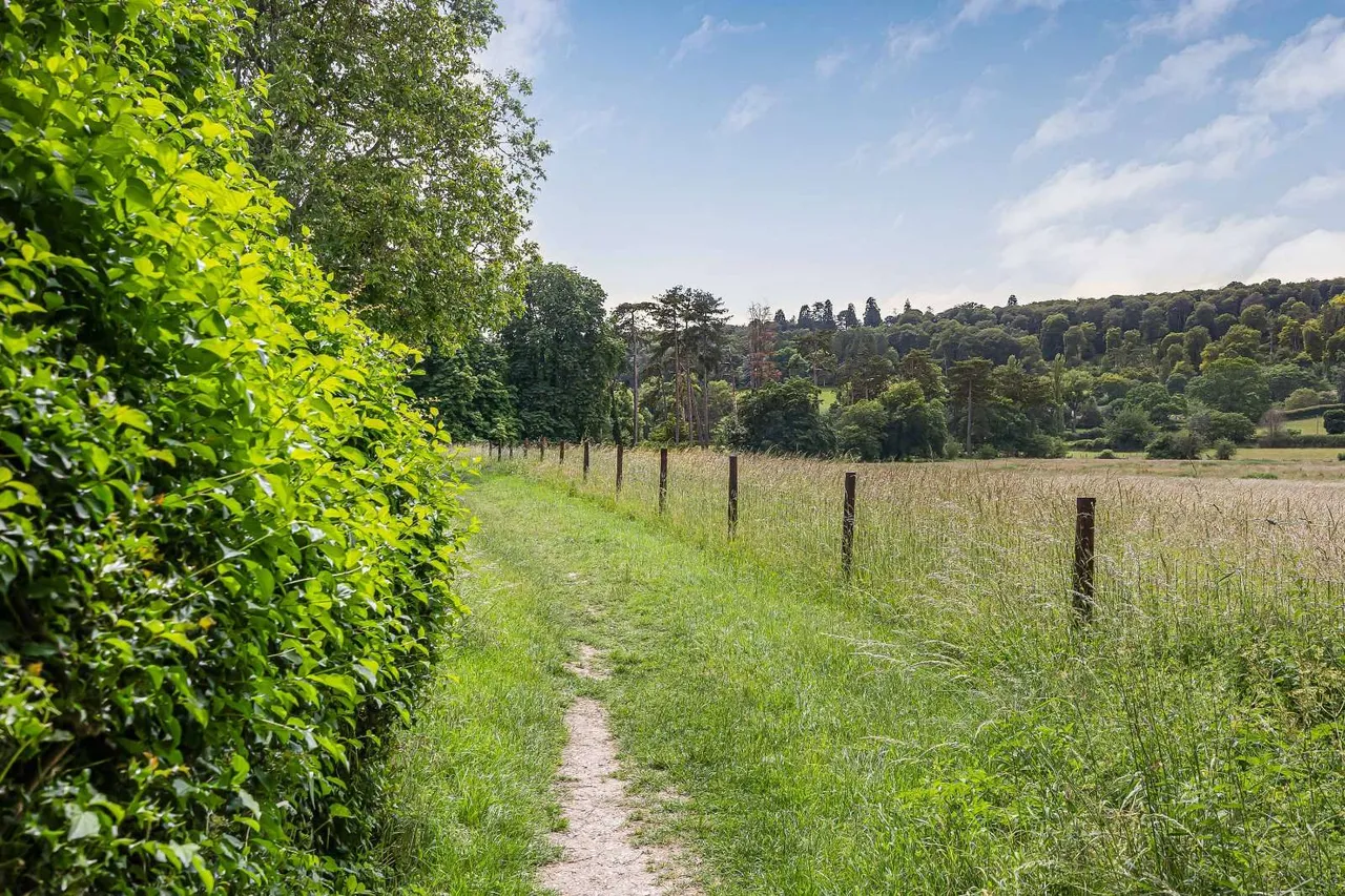 Hambleden, Henley-on-Thames, RG9, photo 32