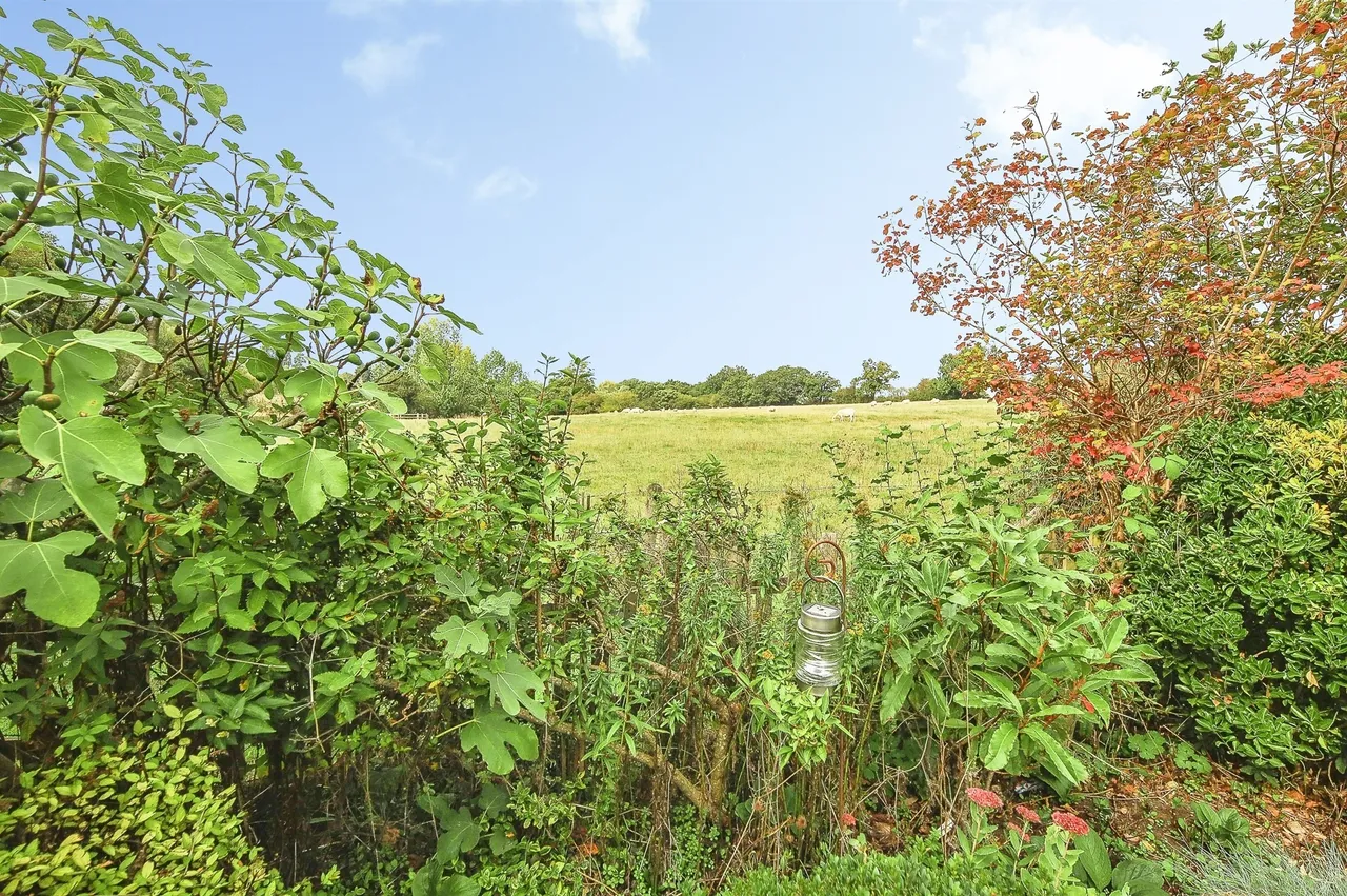 Needlers End Lane, Balsall Common, CV7, photo 2