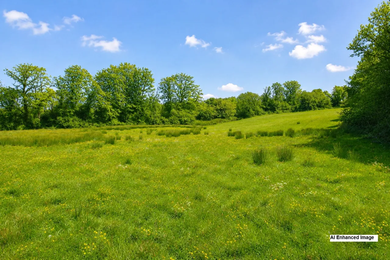 Porthrhyd, Carmarthen, SA32, photo 4