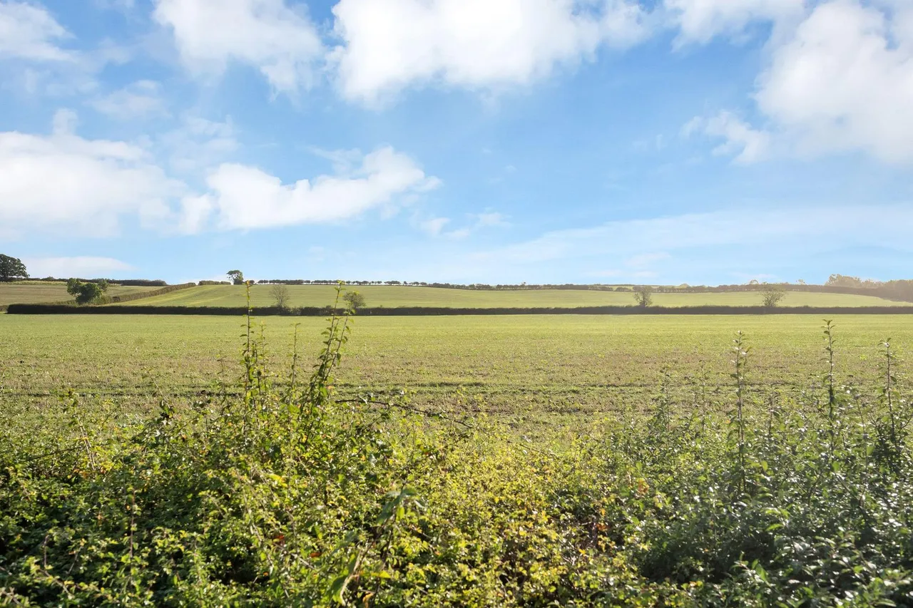 Big Green, Warmington, PE8, photo 17