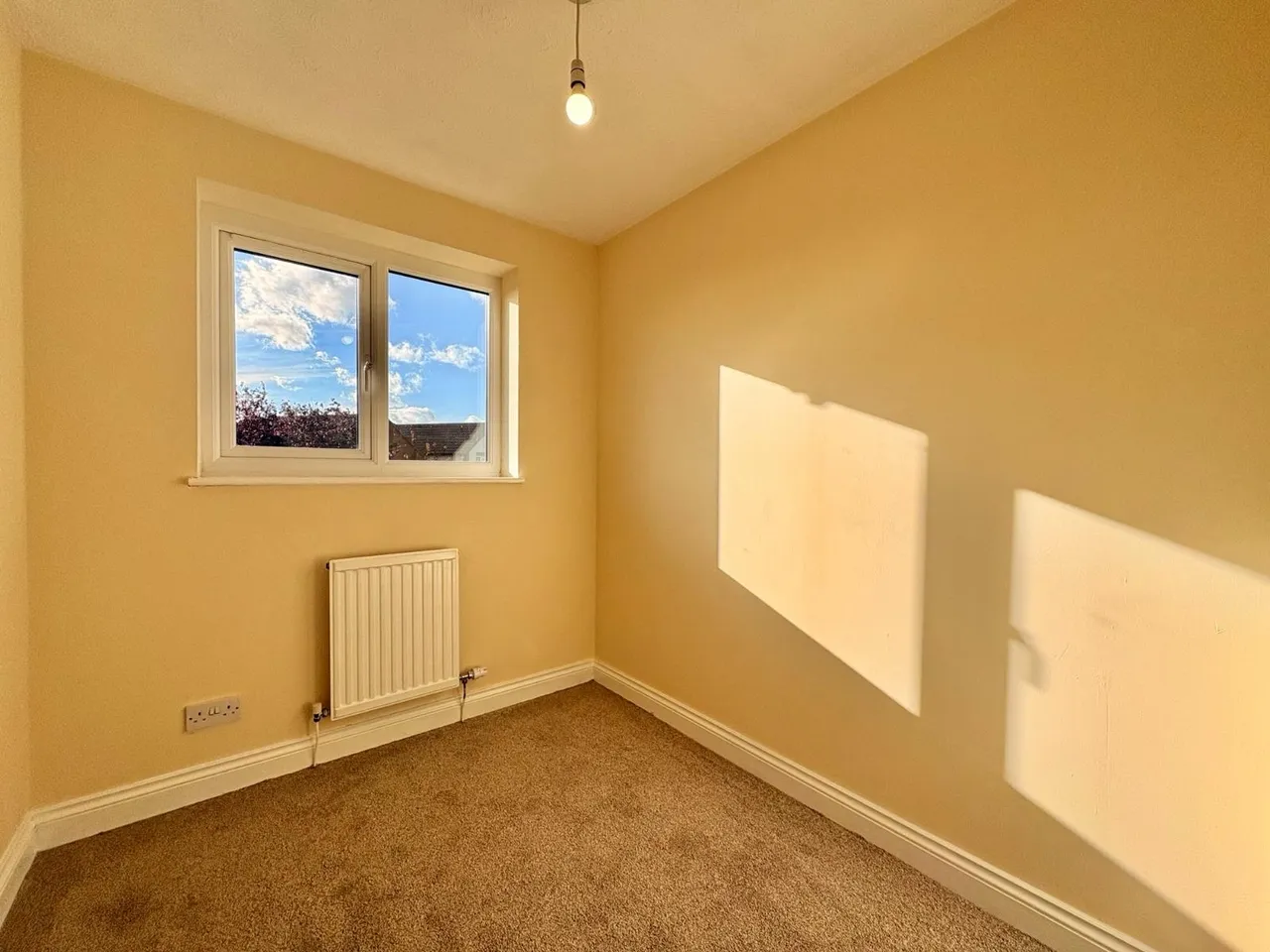 Foxglove Close, Ross-on-Wye, HR9, photo 19