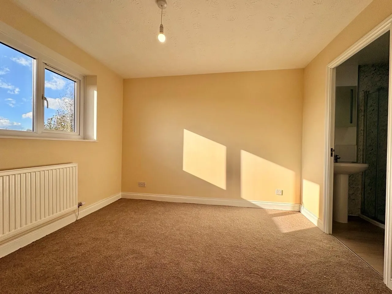 Foxglove Close, Ross-on-Wye, HR9, photo 17