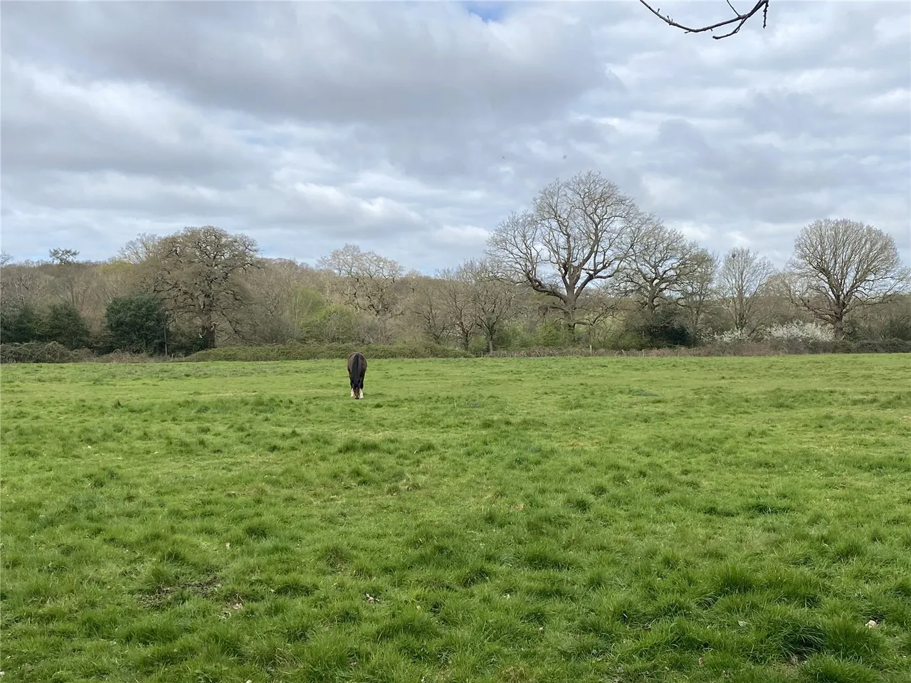 Stroude Road, Virginia Water, GU25, photo 28